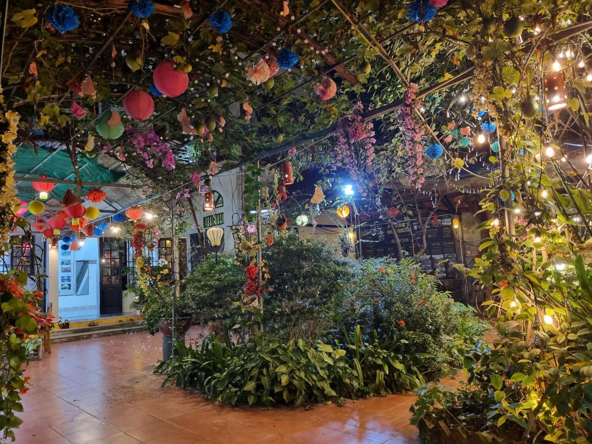 Phi Hung's Unique Homestay Ninh Bình Extérieur photo