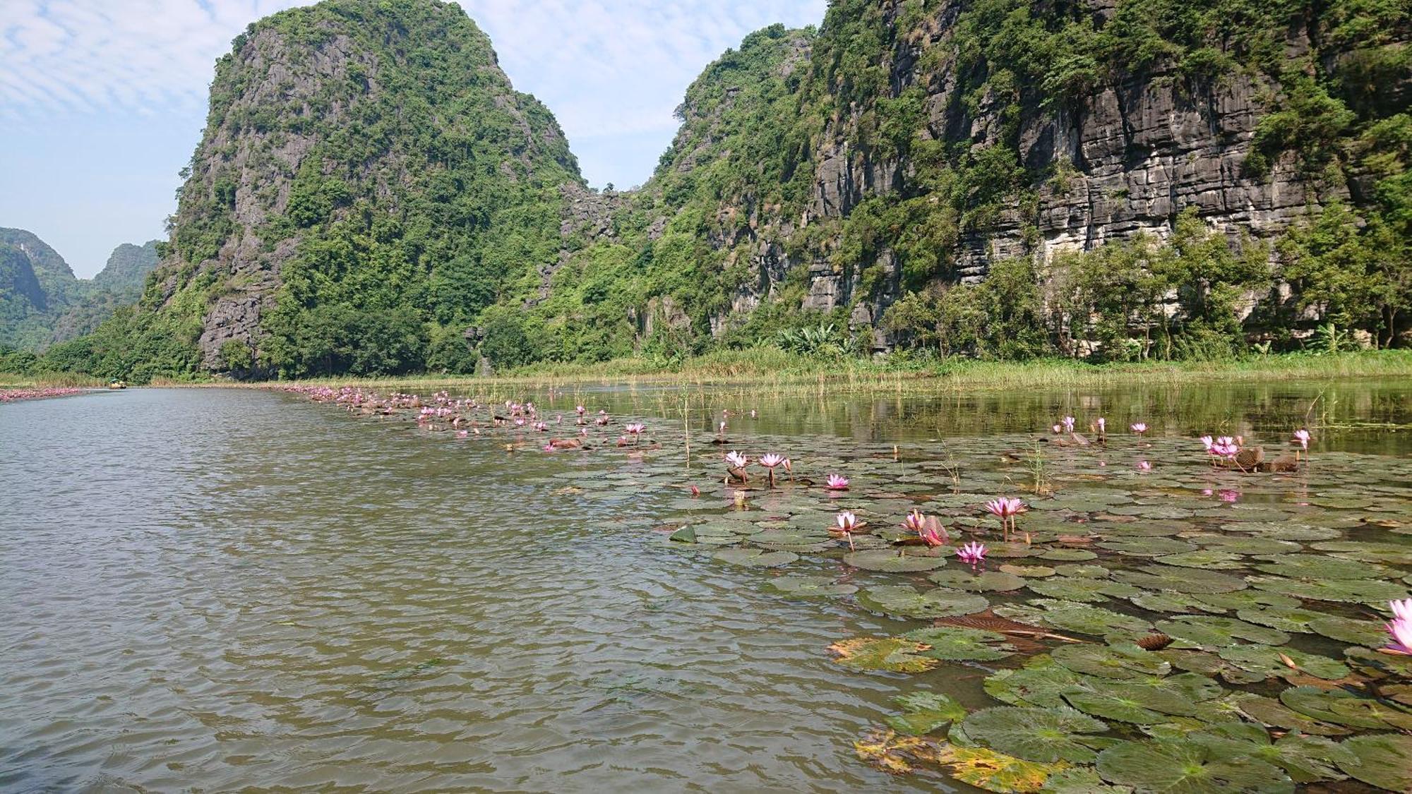 Phi Hung's Unique Homestay Ninh Bình Extérieur photo