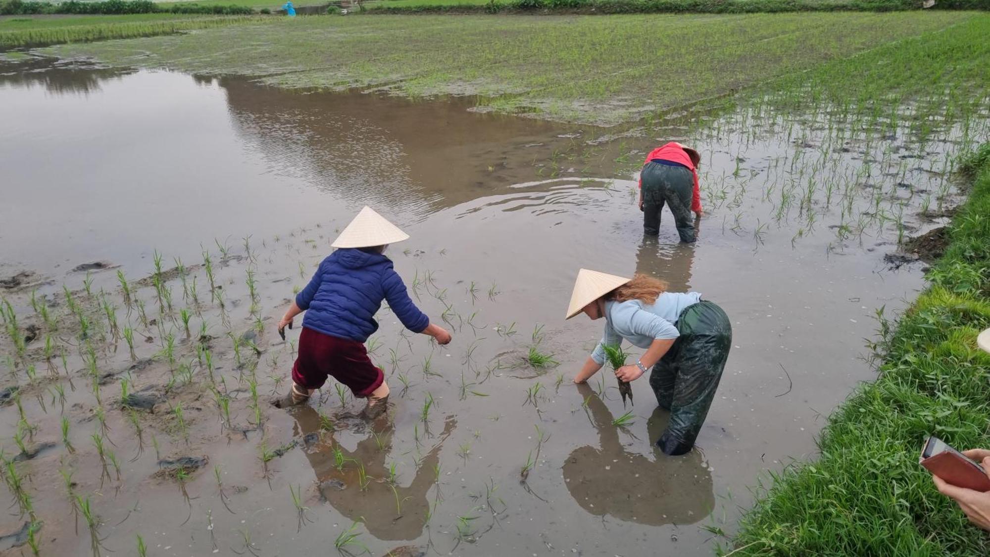 Phi Hung's Unique Homestay Ninh Bình Extérieur photo