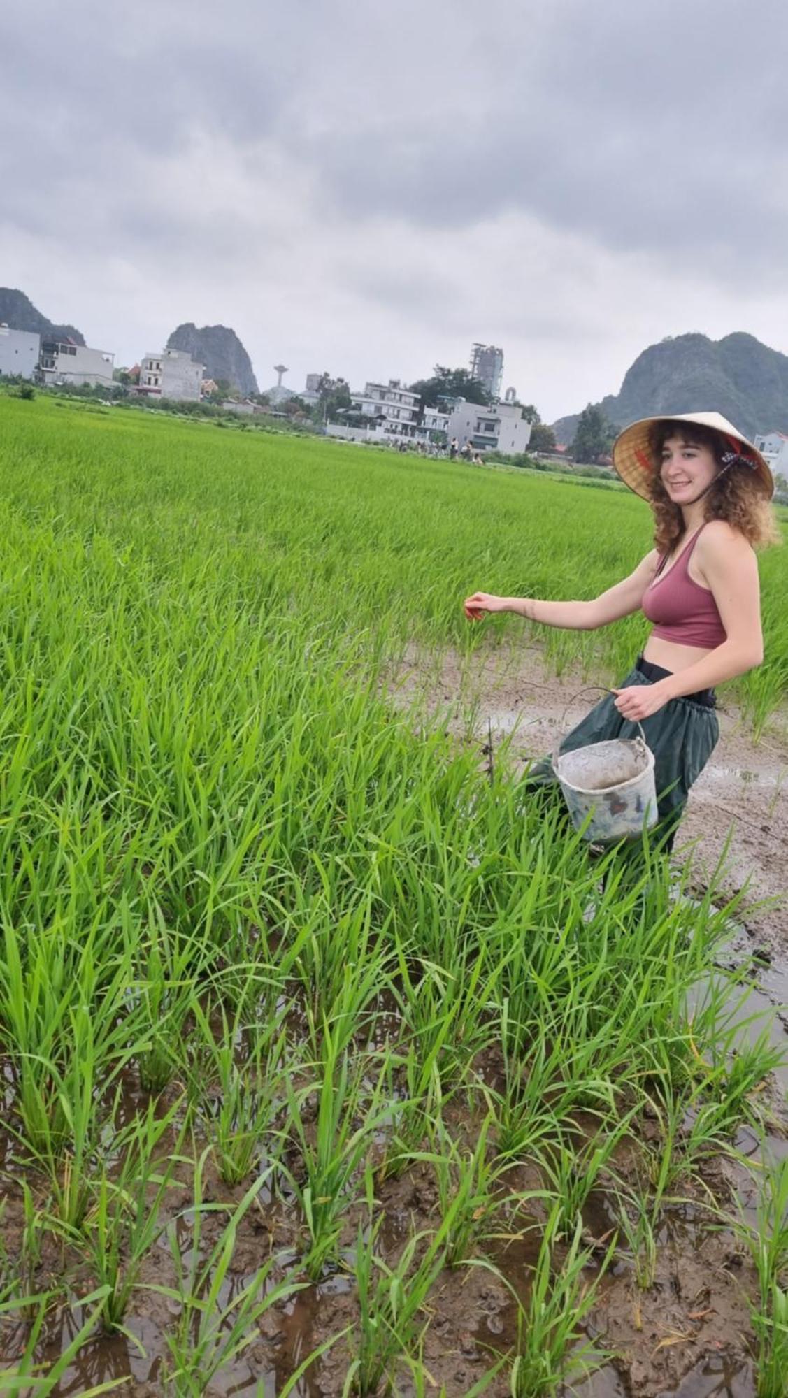 Phi Hung's Unique Homestay Ninh Bình Extérieur photo